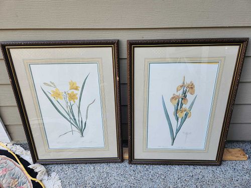 Lot #20 (1 of 8)
