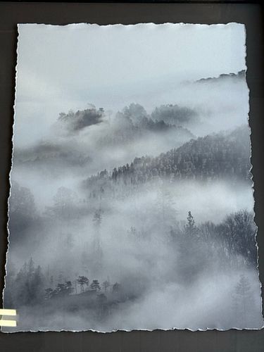 Lot #967 (1 of 5)