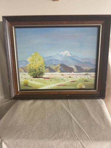Lot #41 (1 of 5)