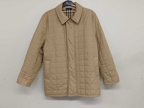 Lot #251 (1 of 10)