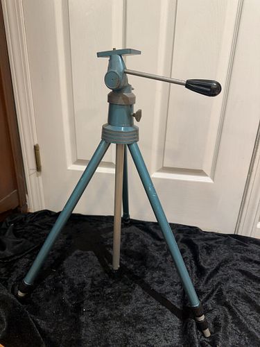 Lot #41 (1 of 6)