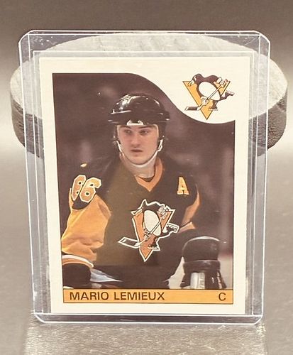 Lot #19 (1 of 3)