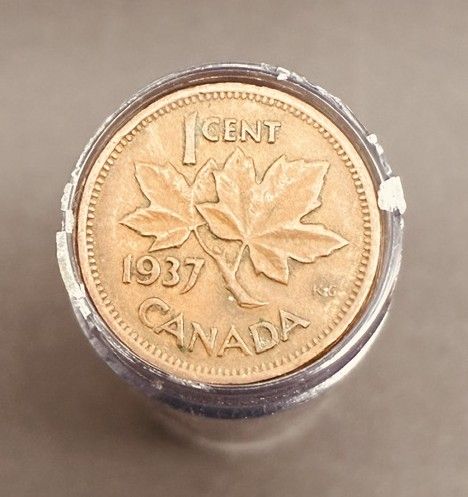 Lot #219 (1 of 3)