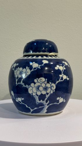 Lot #5 (1 of 6)