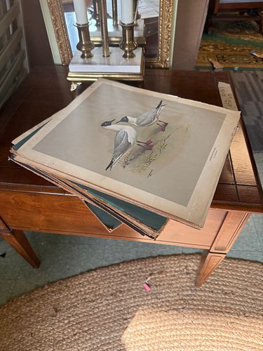 Lot #79 (1 of 16)