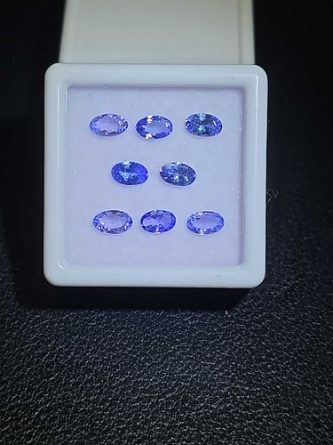 Lot #14 (1 of 8)