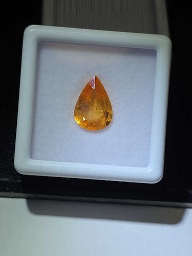 Lot #40 (1 of 14)