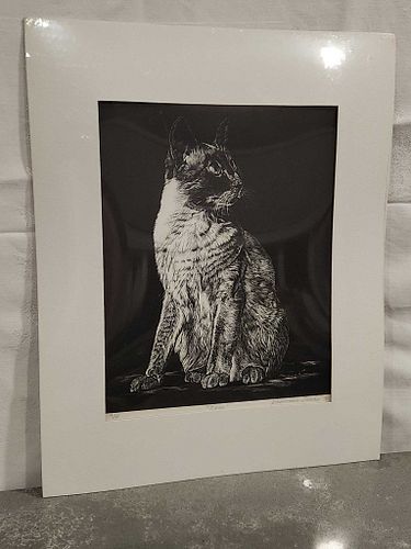 Lot #30 (1 of 5)