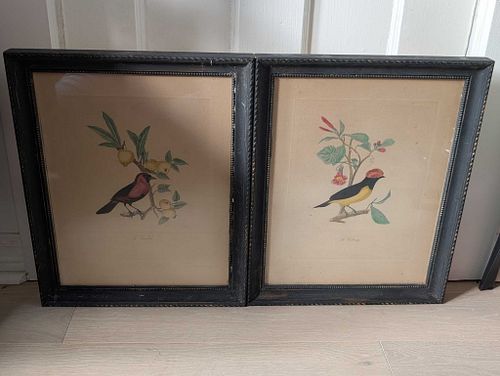 Lot #40 (1 of 6)