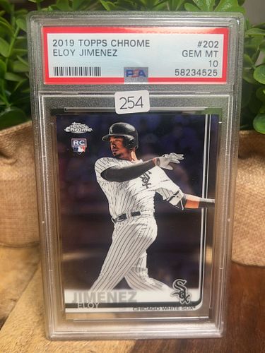 Lot #254 (1 of 2)