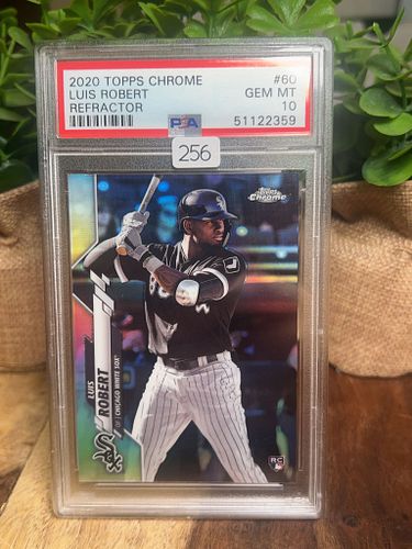 Lot #256 (1 of 2)
