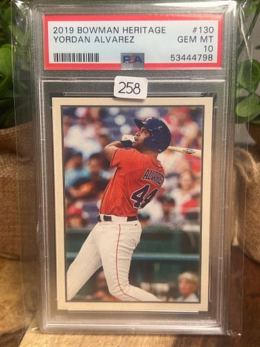Lot #258 (1 of 2)