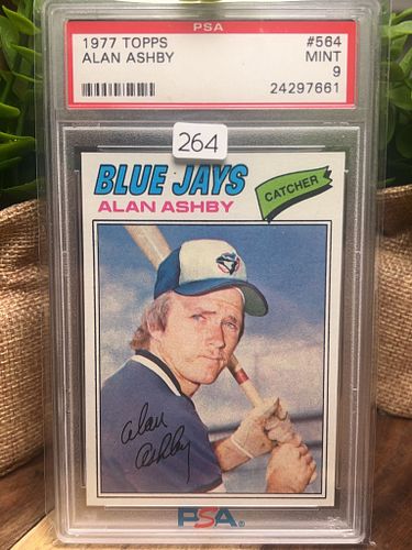 Lot #264 (1 of 2)