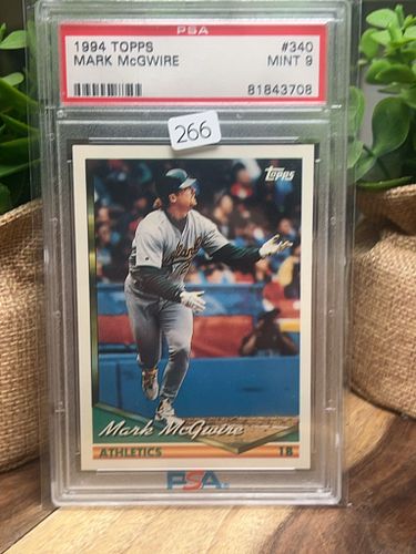 Lot #266 (1 of 2)