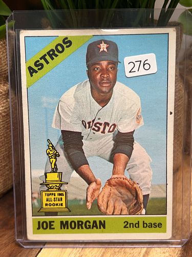 Lot #276 (1 of 2)