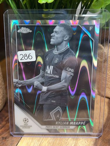 Lot #286 (1 of 2)