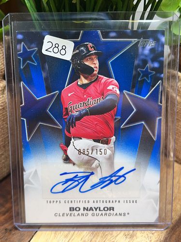 Lot #288 (1 of 2)