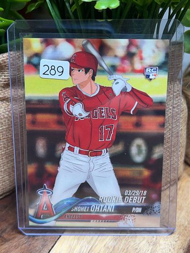 Lot #289 (1 of 2)