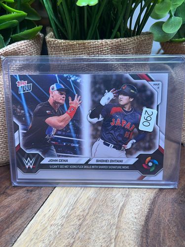 Lot #290 (1 of 3)