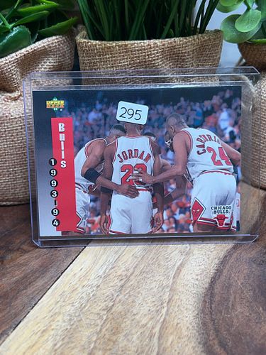 Lot #295 (1 of 2)