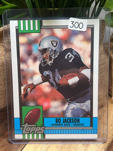 Lot #300 (1 of 2)