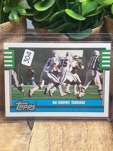 Lot #304 (1 of 2)