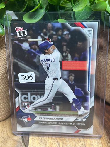 Lot #306 (1 of 2)