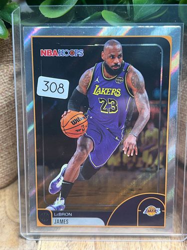 Lot #308 (1 of 2)