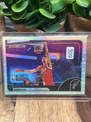 Lot #309 (1 of 3)