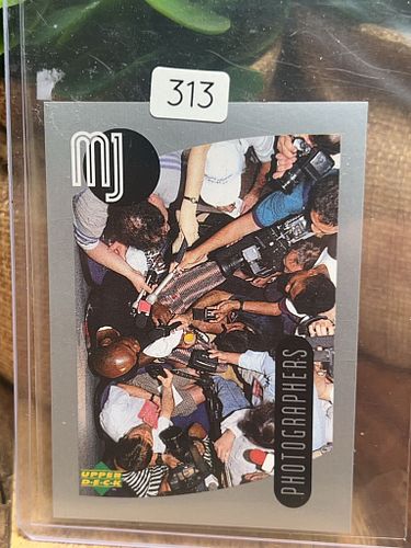 Lot #313 (1 of 2)