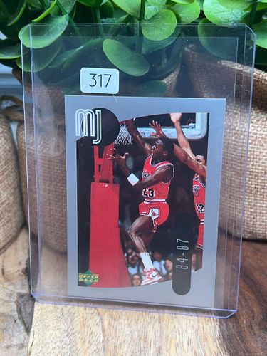 Lot #317 (1 of 2)