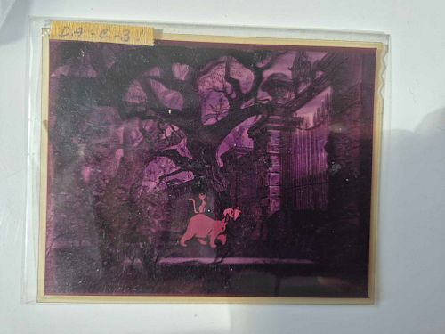 Lot #29 (1 of 5)