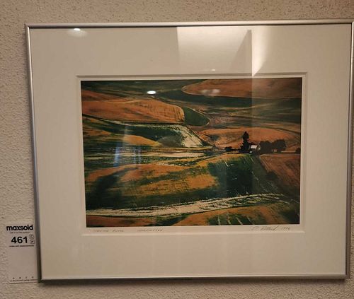 Lot #461 (1 of 5)