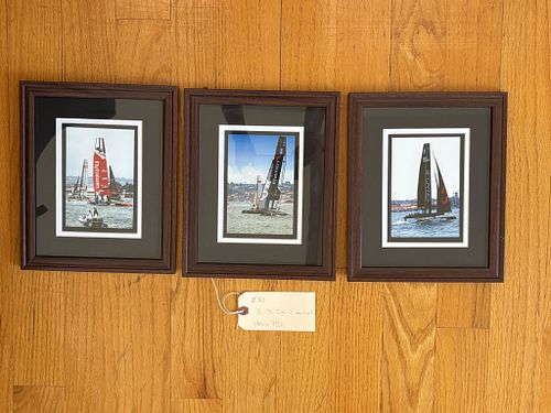 Lot #49 (1 of 8)