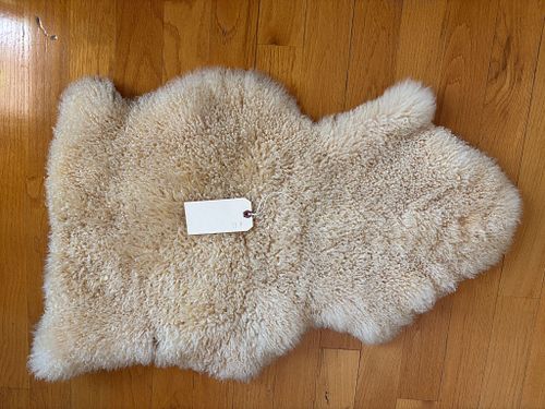 Lot #85 (1 of 5)
