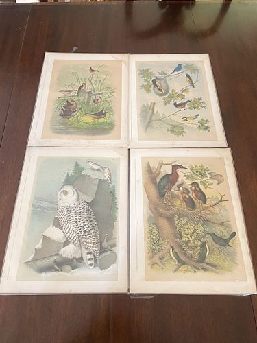 Lot #413 (1 of 11)