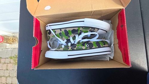 Lot #25 (1 of 8)