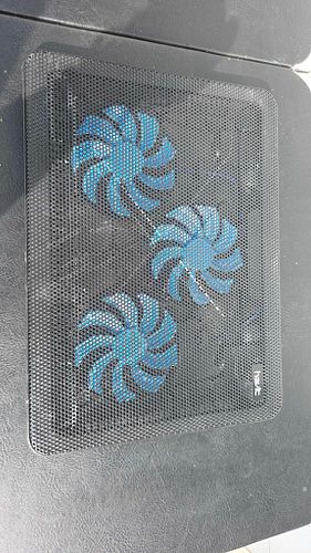 Lot #29 (1 of 7)