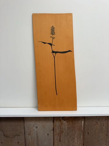 Lot #119 (1 of 5)