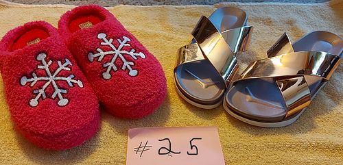 Lot #25 (1 of 7)