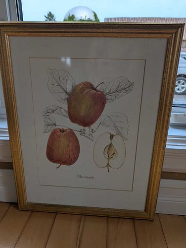 Lot #63 (1 of 3)