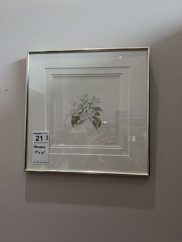 Lot #21 (1 of 5)