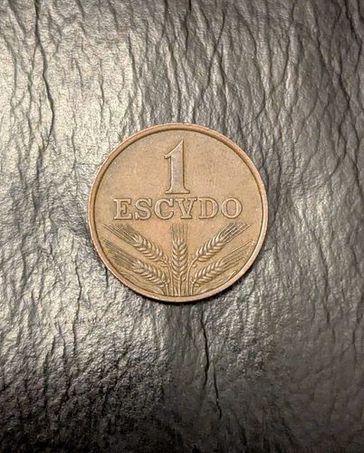 Lot #25 (1 of 4)