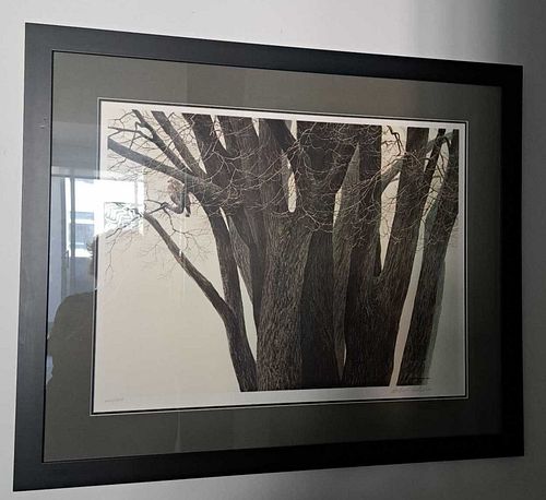 Lot #43 (1 of 7)