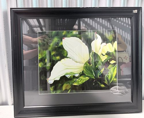 Lot #47 (1 of 4)