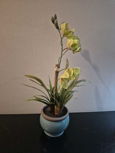 Lot #20 (1 of 6)