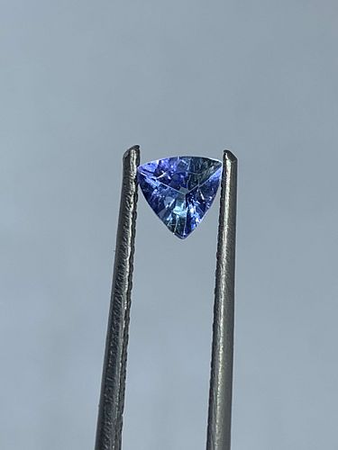 Lot #6 (1 of 7)