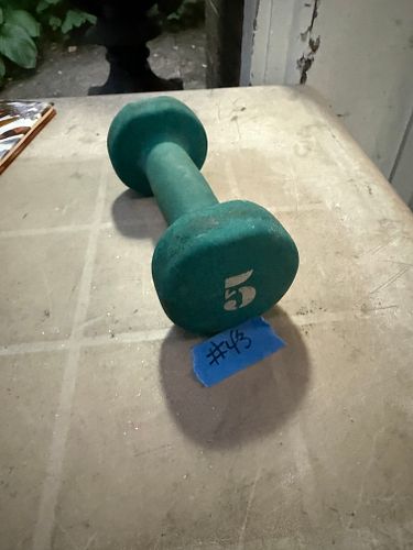 Lot #43 (1 of 2)