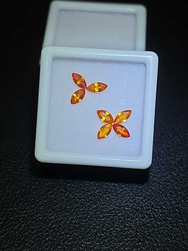 Lot #12 (1 of 9)