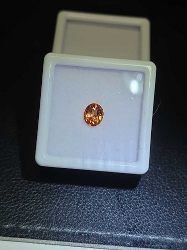 Lot #16 (1 of 11)